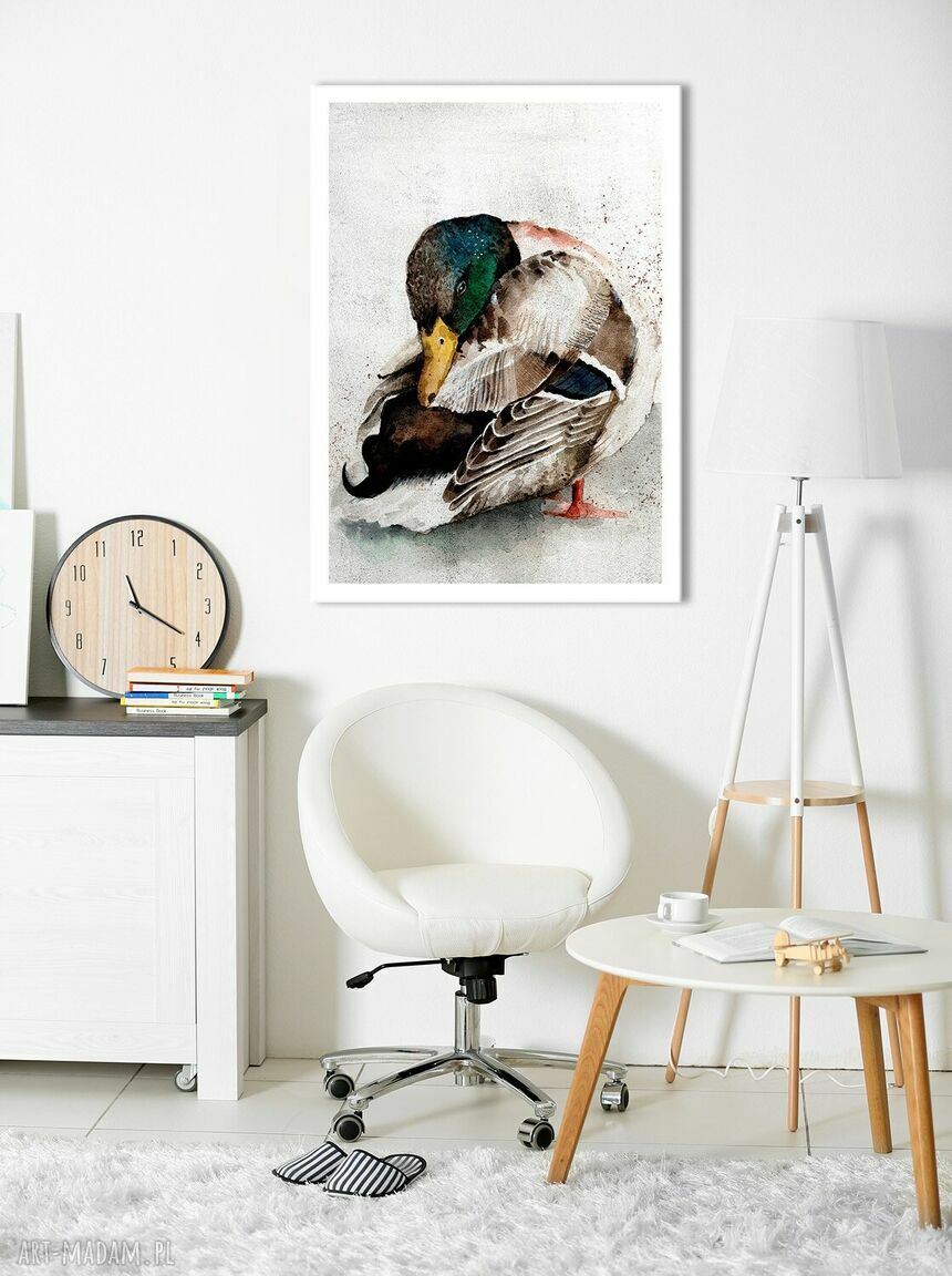 Akwarelowy obraz z kaczorem 40x60 cm na płótnie