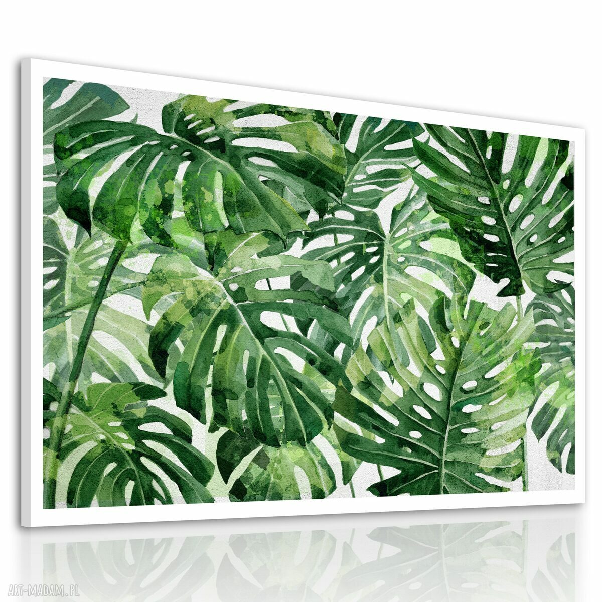 Obraz drukowany na płótnie Kwiat Monstera 120x80 cm
