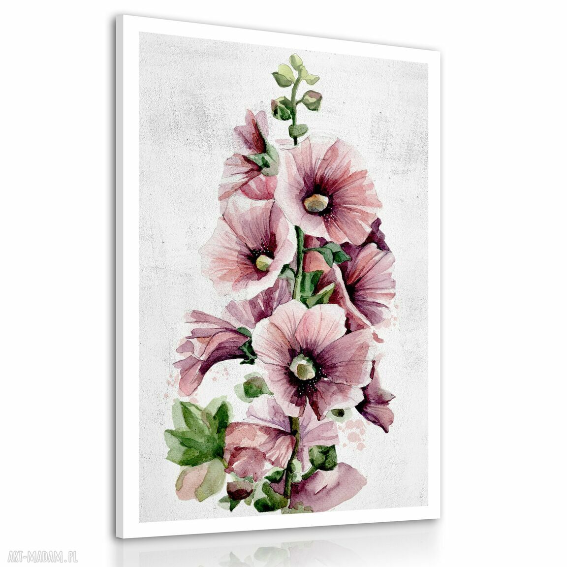 Obraz drukowany na płótnie Malwa 70x100 cm - gotowy do powieszenia