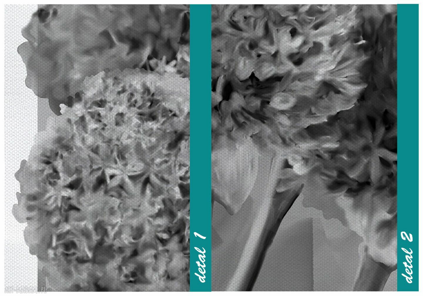 Obraz drukowany na płótnie Kwiat Czosnku - tryptyk 3x50x70 cm