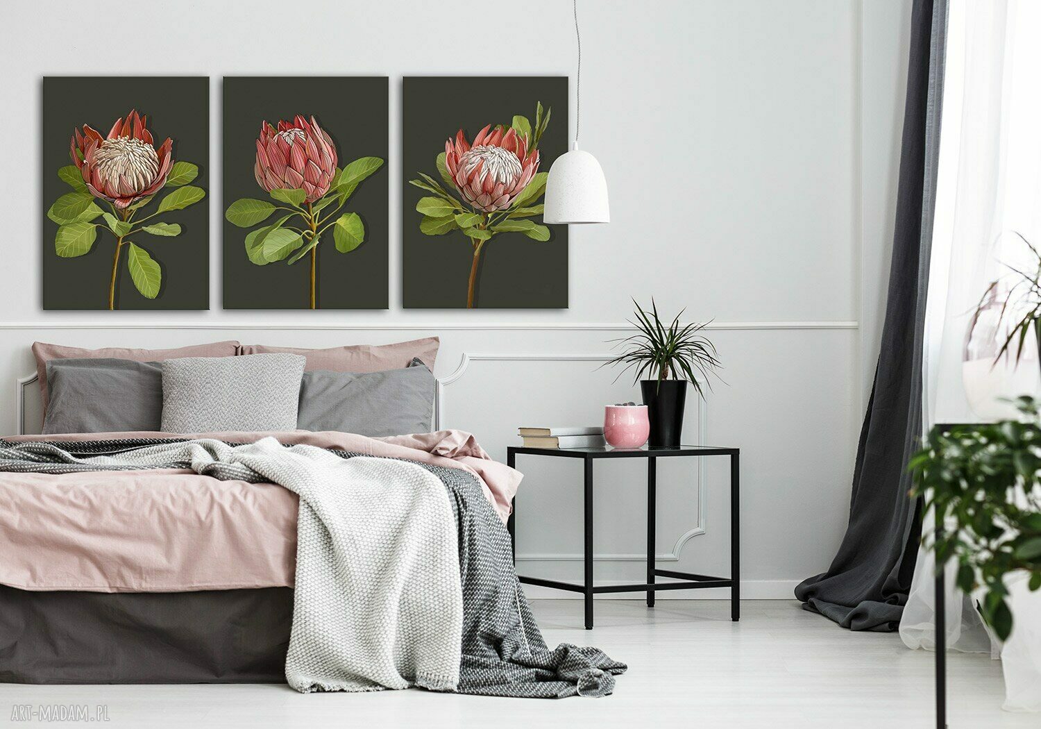 Kwiat Protei - nowoczesny tryptyk na płótnie 3x50x70 cm (150x70 cm)