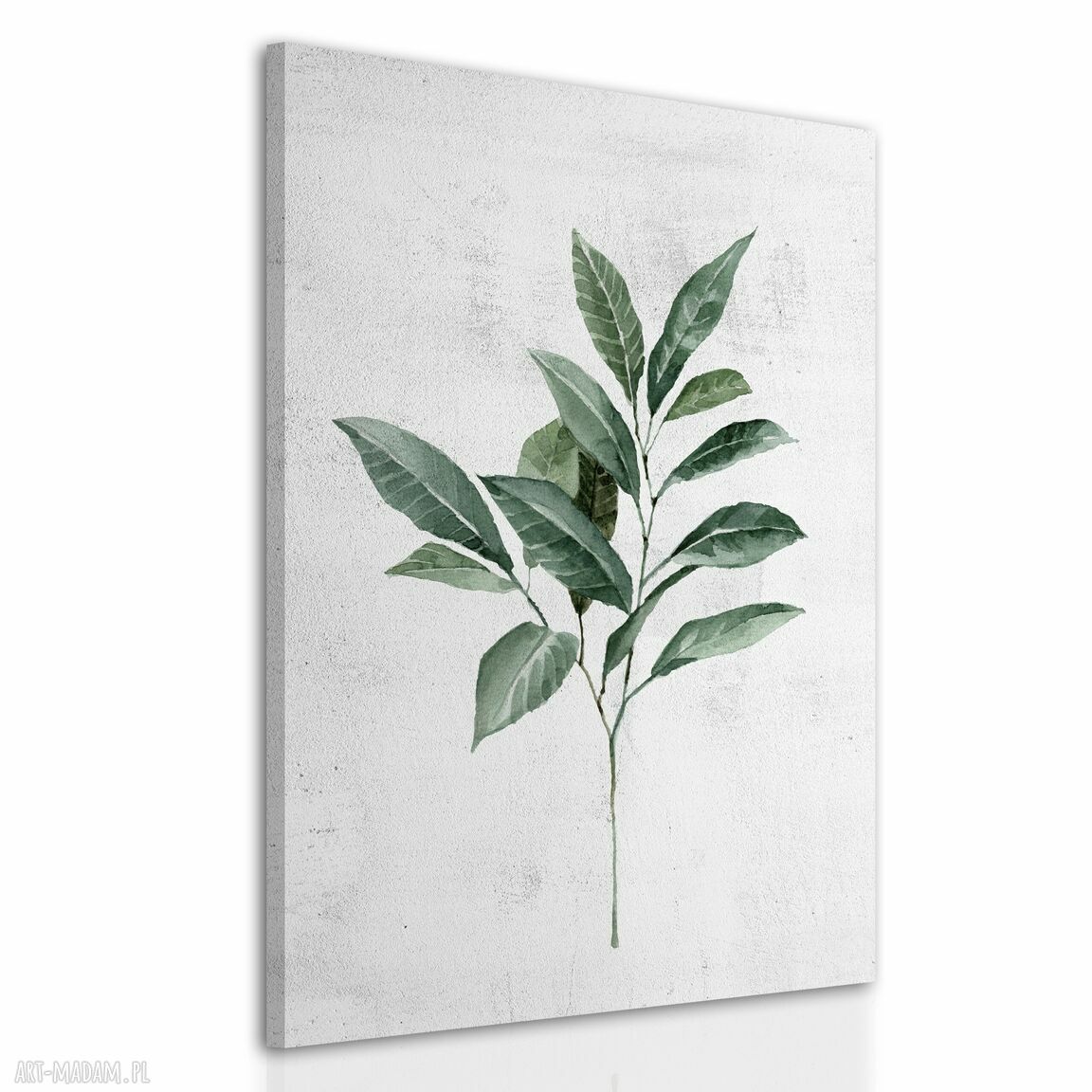 Akwarelowa roślinka - liście 40x60 cm. Obraz drukowany na płótnie do salonu i sypialni