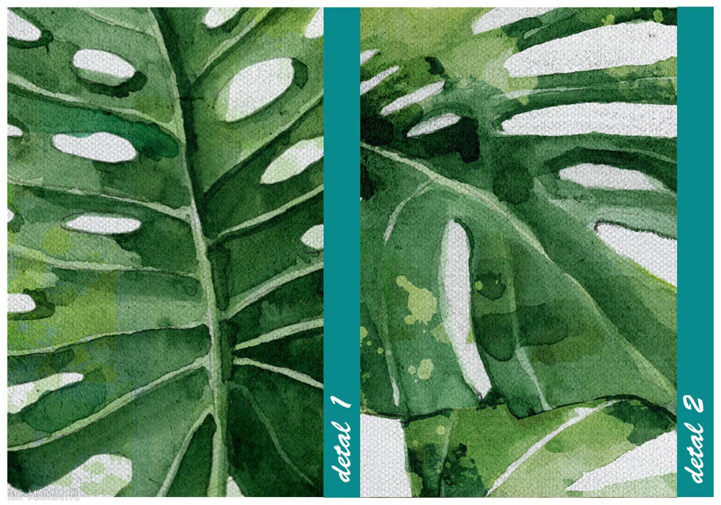 philodendron pastazanum vs gloriosum Philodendron Pastazanum x Melanochrysum – Plantamani Plants main image 0