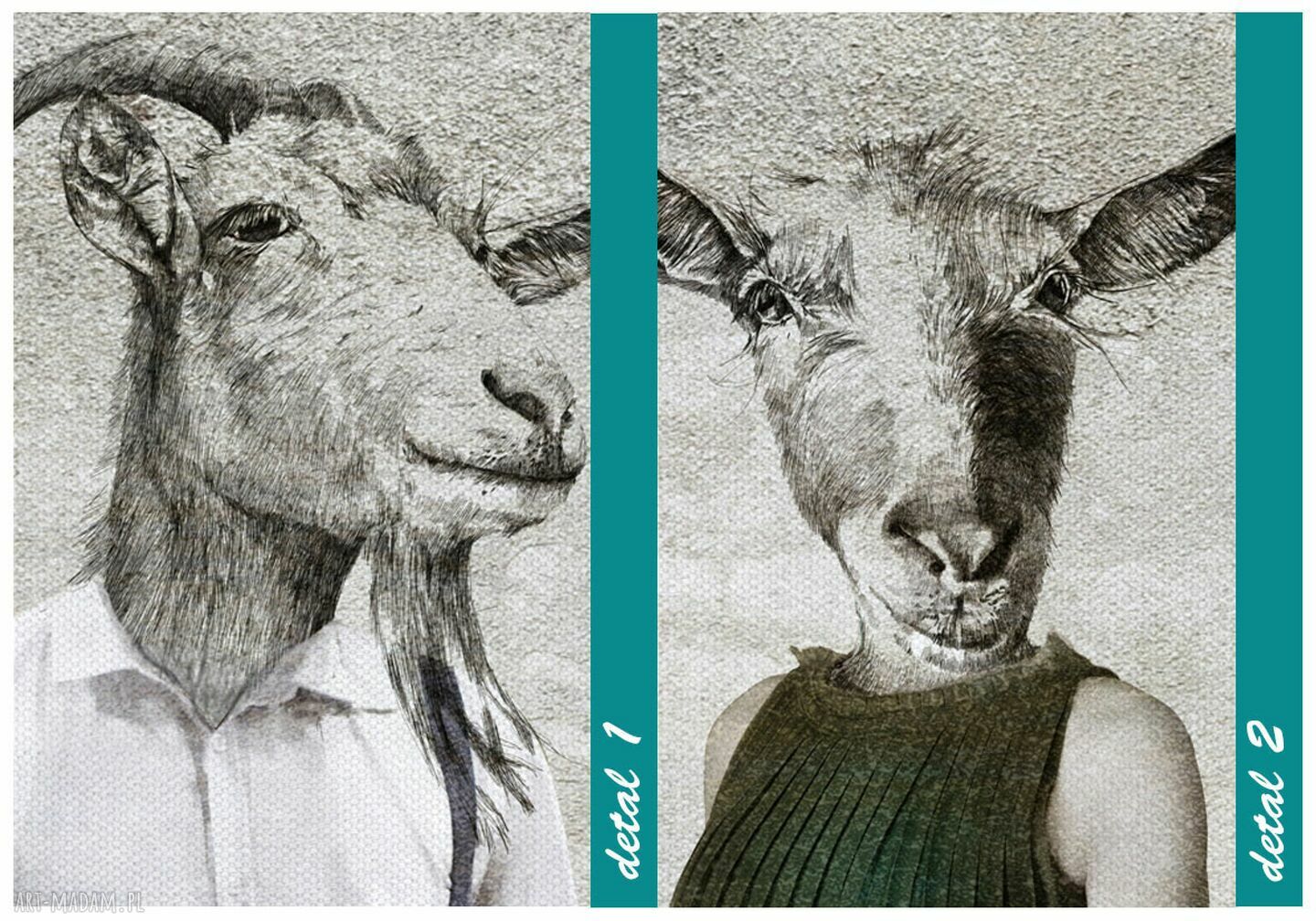 Obraz drukowany na płótnie Kozłowscy - Kozy w ubraniach vintage 80x120