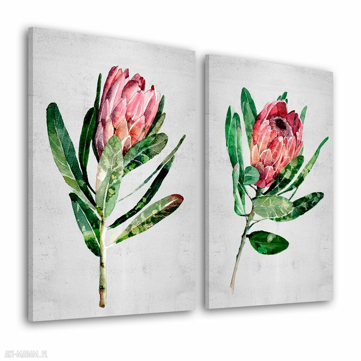 Dyptyk Kwiaty Peonii na płótnie - 2 części po 50x70 cm (100x70), gotowy do powieszenia