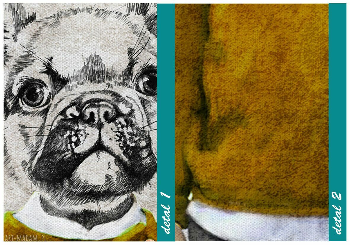 Obraz na płótnie Buldog Gustaw 80 x 120 cm - pies w swetrze