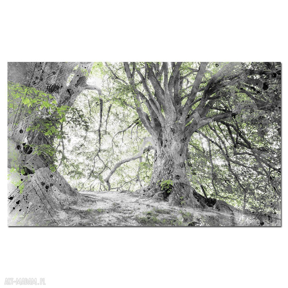 Las w szarości i mgła - obraz Drzewo 43 120x70 cm na płótnie