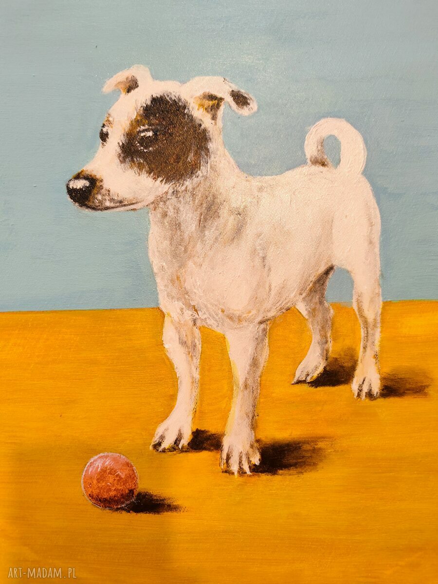 Obraz Jack Russell terrier - 50 cm