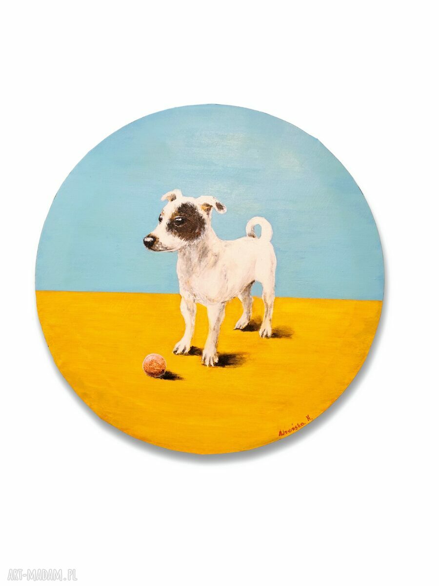 Obraz Jack Russell terrier - 50 cm
