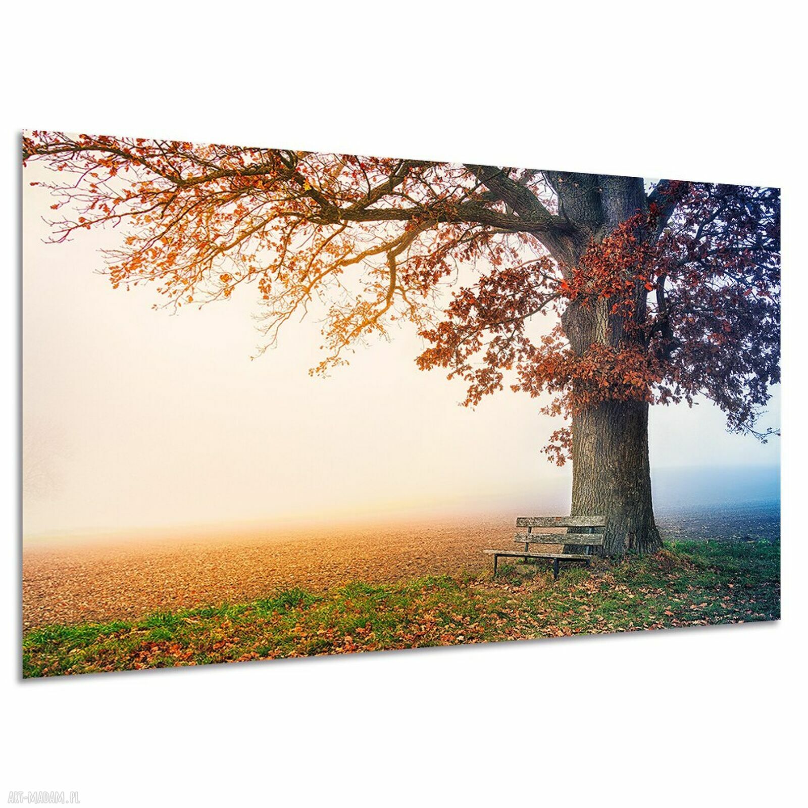 Obraz na płótnie Jesienne drzewo z ławką 120x80 cm