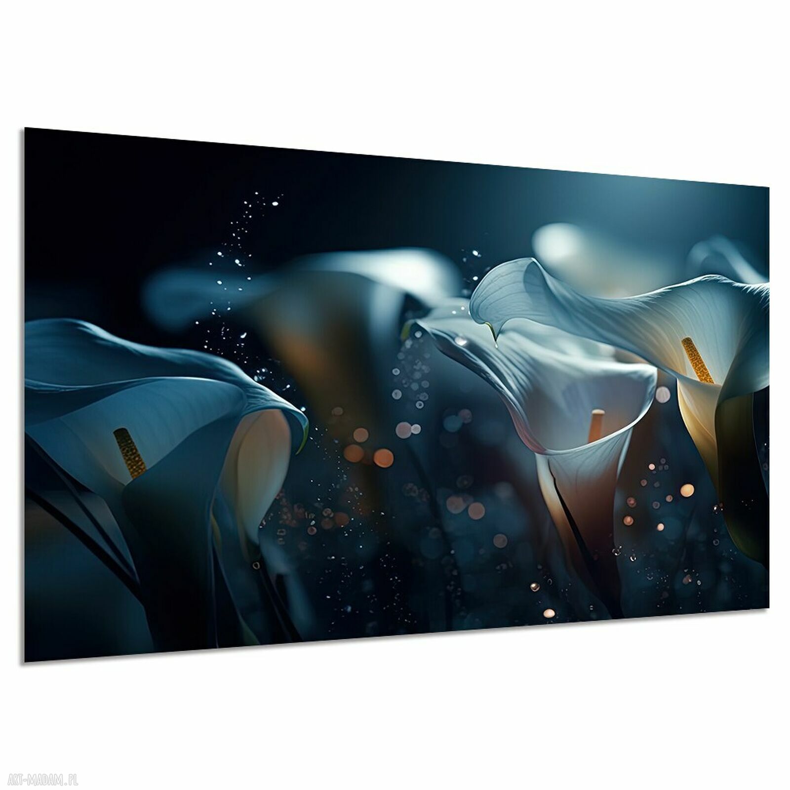 Obraz KALIA 1 - biała kalia na granatowym tle 120x80 cm
