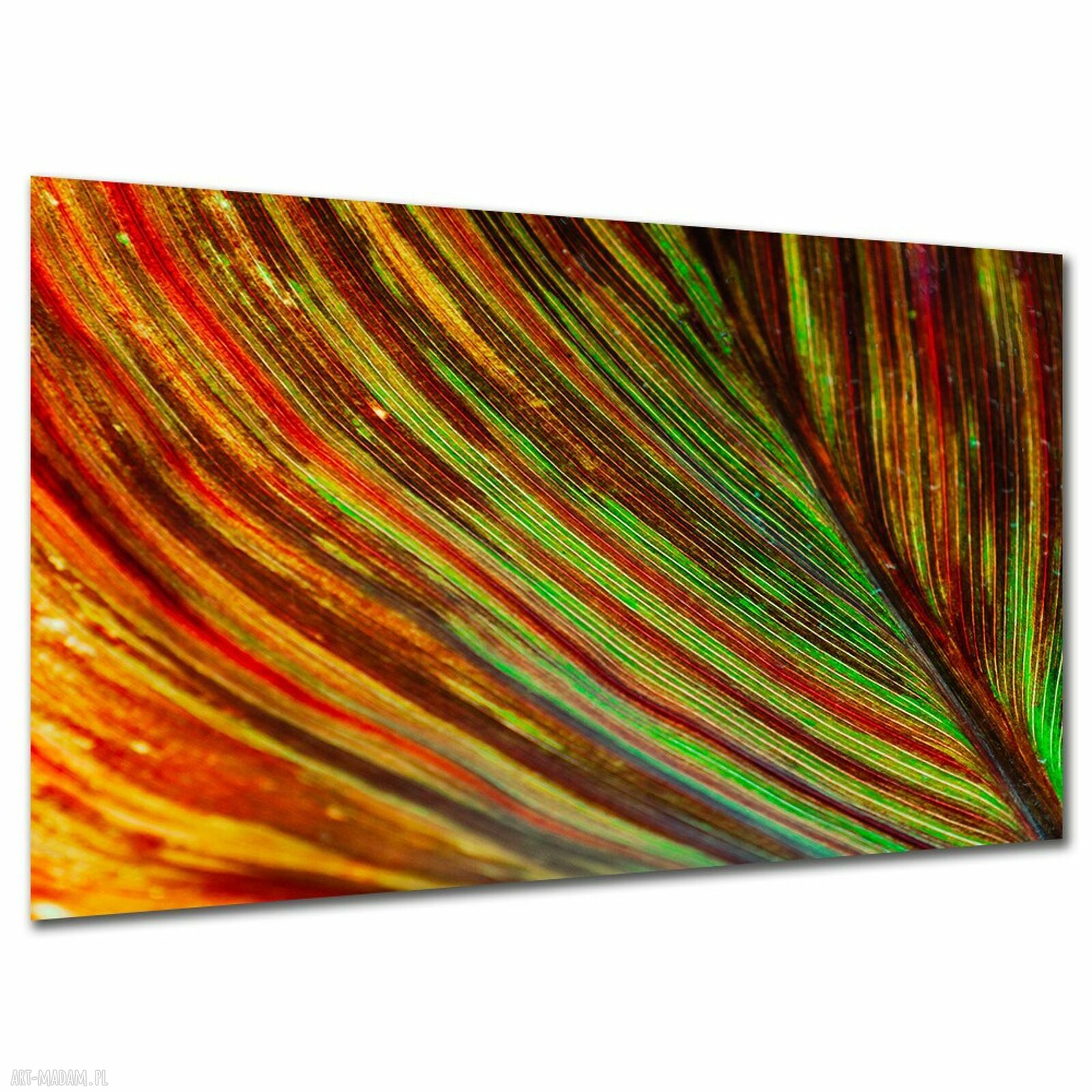 Obraz na płótnie z liściem palmy 120x80 cm