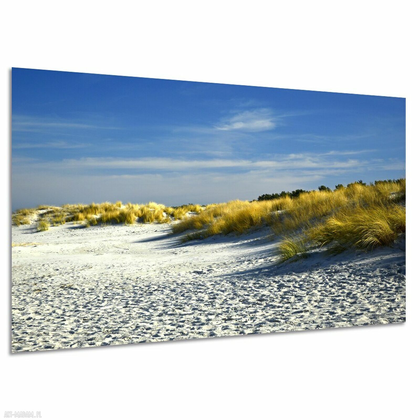Bałtycka plaża i wydmy - obraz na płótnie 120x80 cm