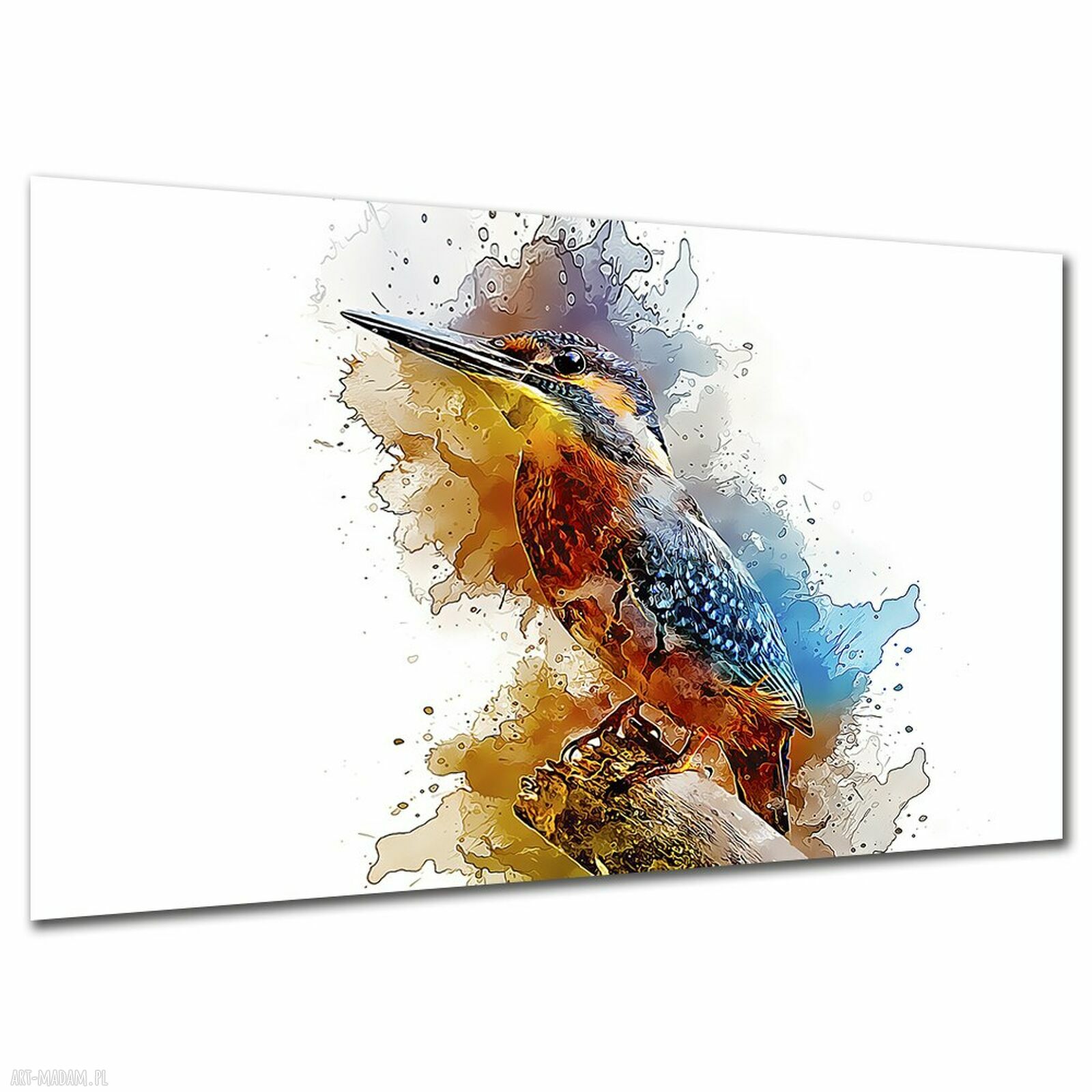 Obraz z zimorodkiem na płótnie 120x80 cm