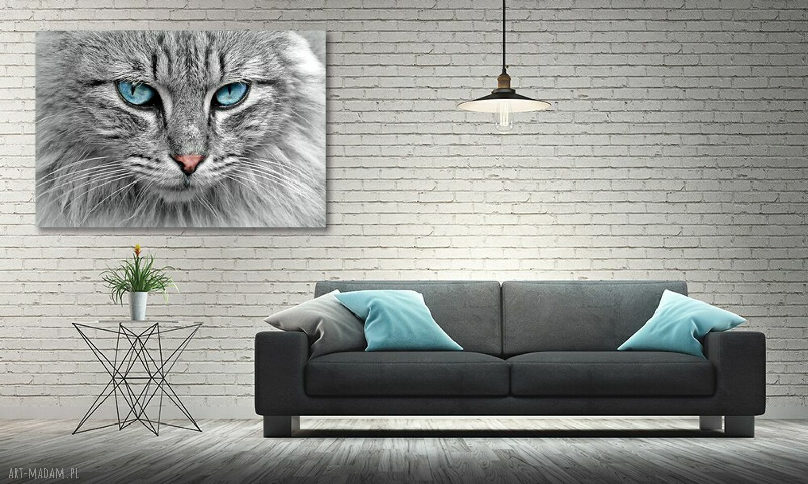 Obraz na płótnie - kot z niebieskimi oczami 120x80 cm