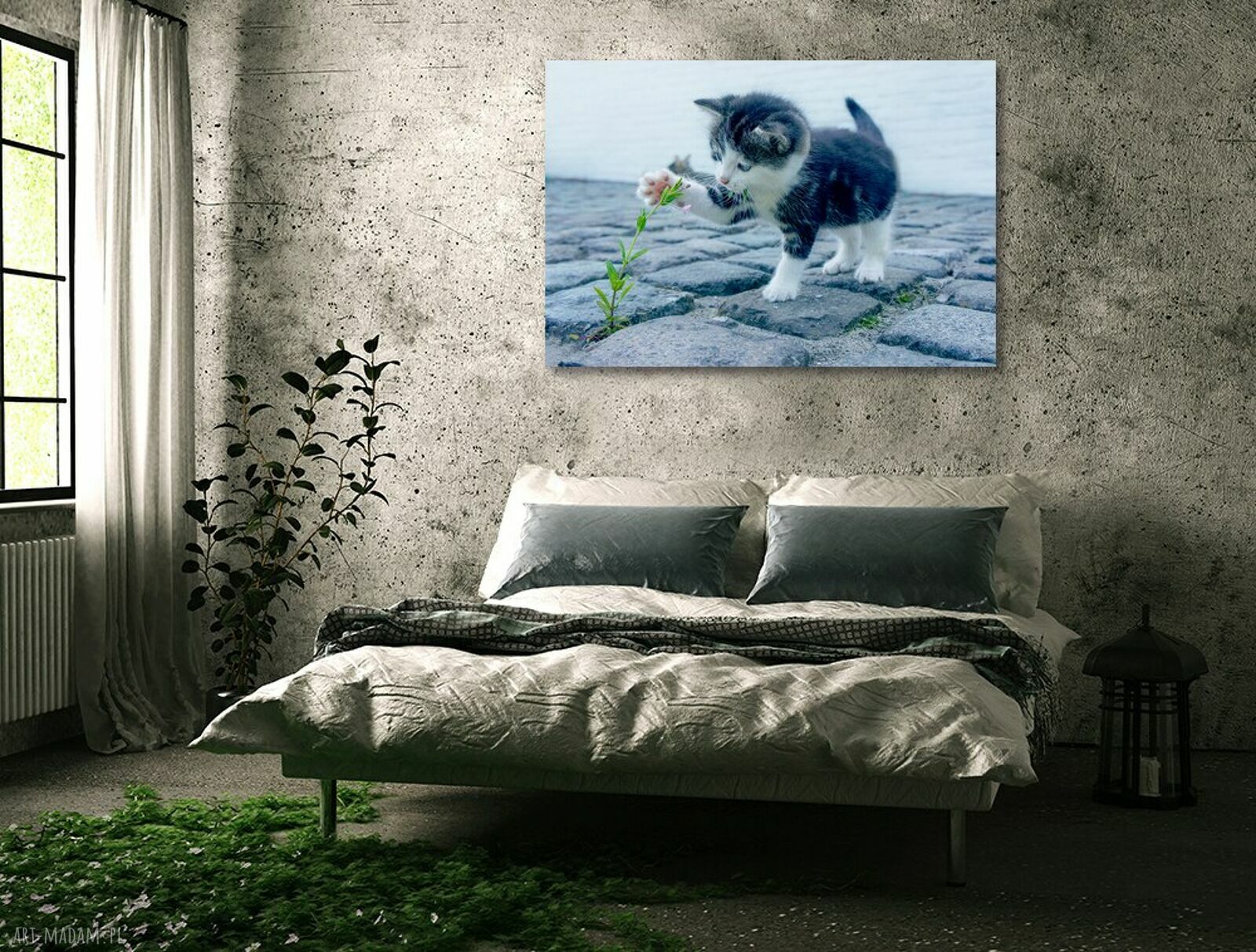 Kolorowy obraz KOTEK 6 na płótnie 120x80 cm