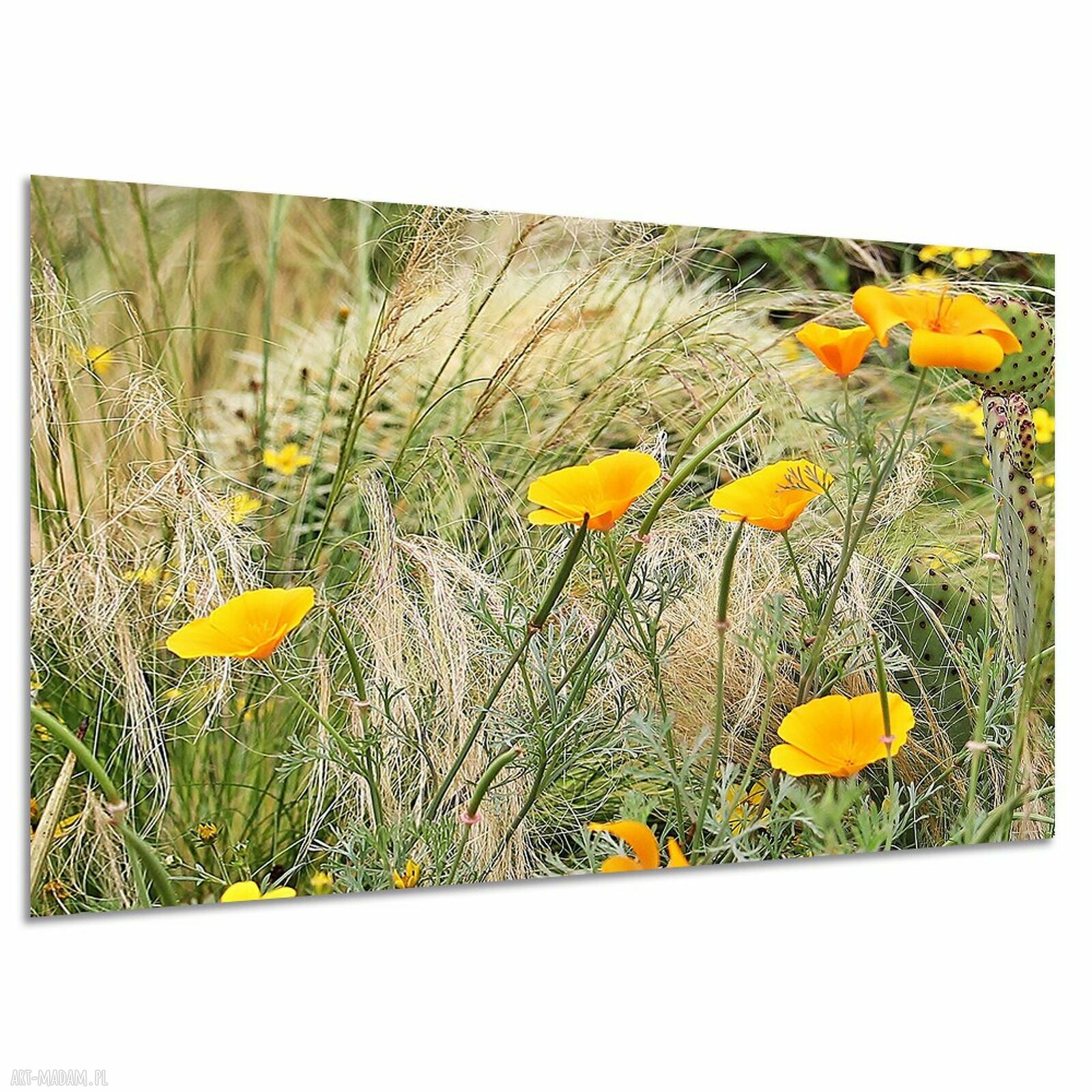 Obraz na płótnie 120x80 cm - żółte kwiaty na łące
