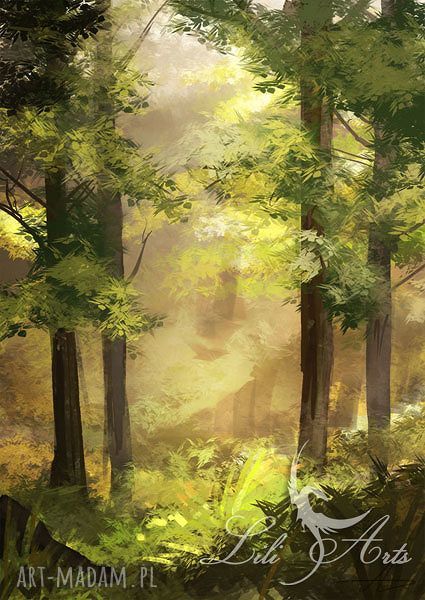 Obraz Las na płótnie 70x50 cm - naturalny klimat i gotowy do zawieszenia
