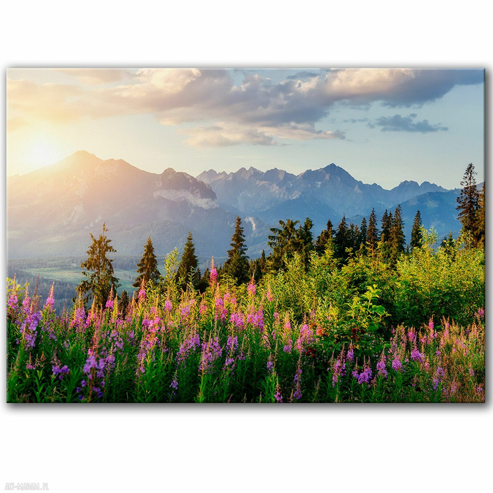 Obraz na płótnie Tatry 1 100x70 cm - gotowy do powieszenia