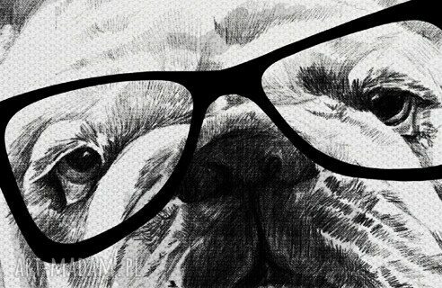 Buldogi Love - obraz na płótnie 120x80 cm, wysyłka w 24h