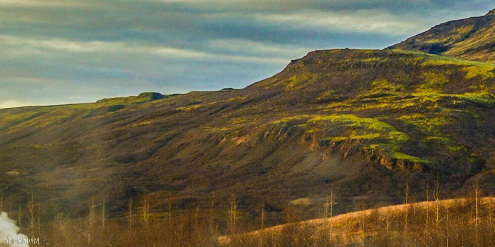 Islandia na płótnie - obraz z gejzerem i górami 120x80 cm