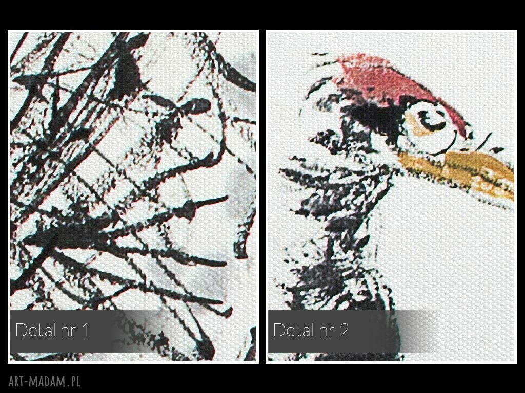 Obraz na płótnie - ŻURAWIE JAPONIA - 120x80 cm (61901)