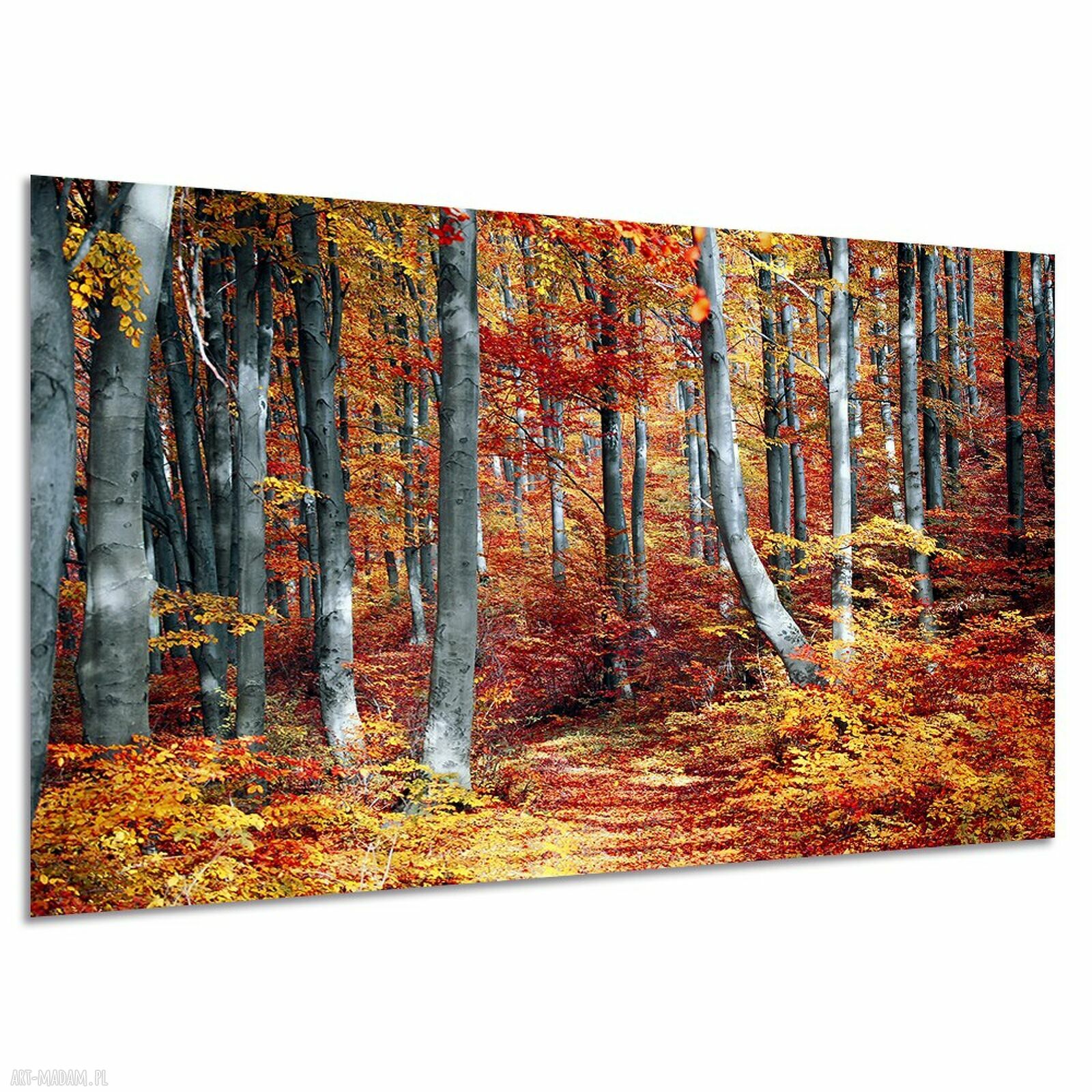 Czerwony jesienny las - obraz na płótnie 120x80 cm
