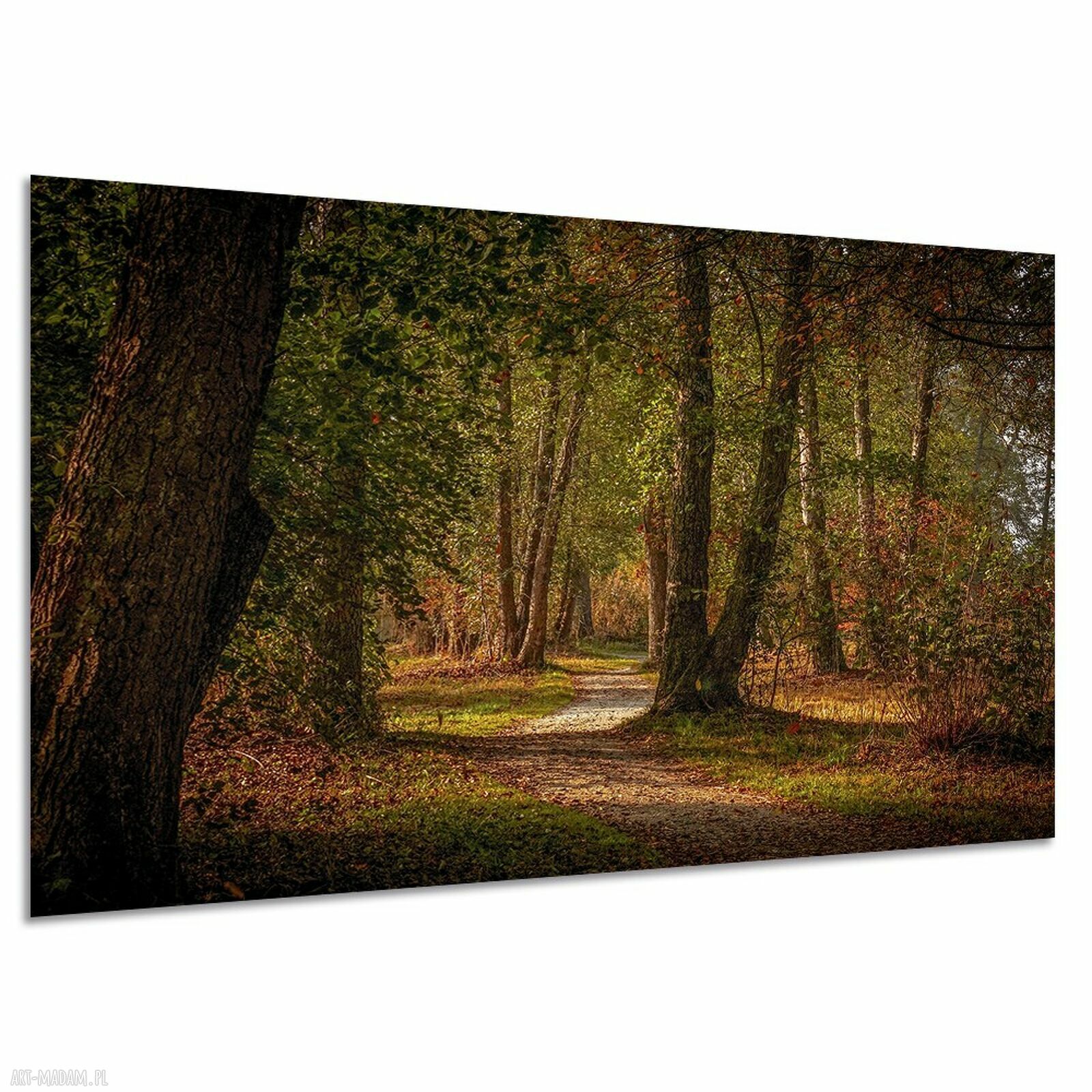 Obraz na płótnie do salonu - leśna alejka 120x80 cm