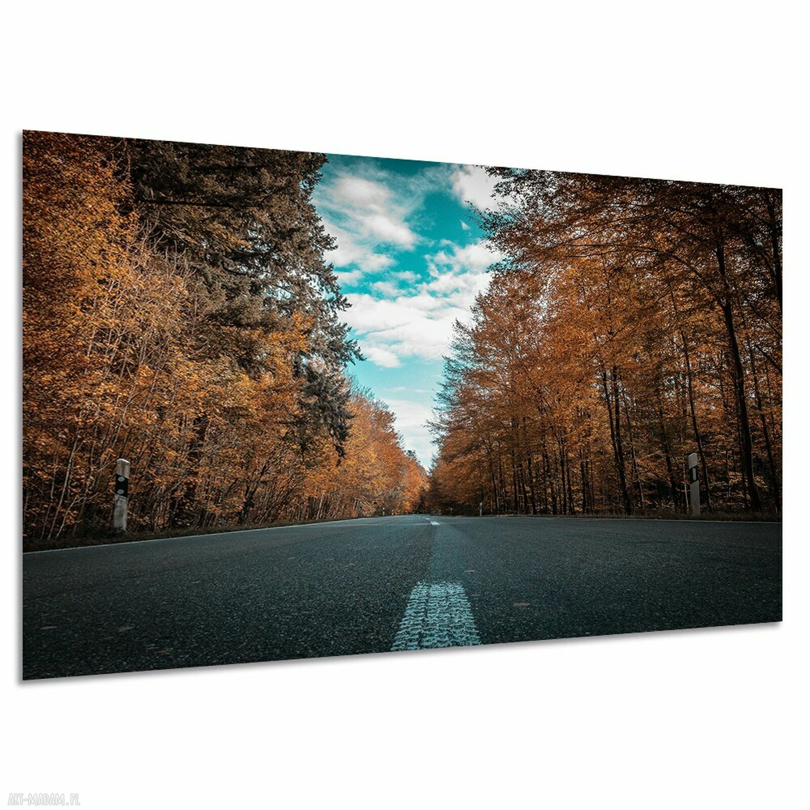 Obraz na płótnie Droga przez jesienny las 120x80 cm