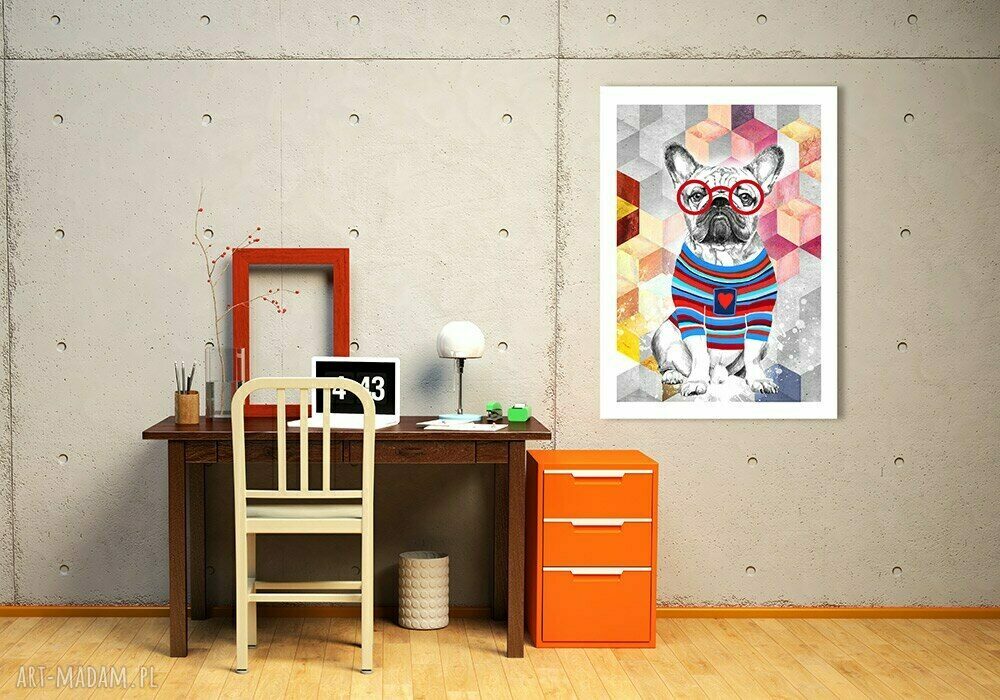 Obraz na płótnie 50x70 Buldog Francuski - wysyłka w 24h, hipster okulary