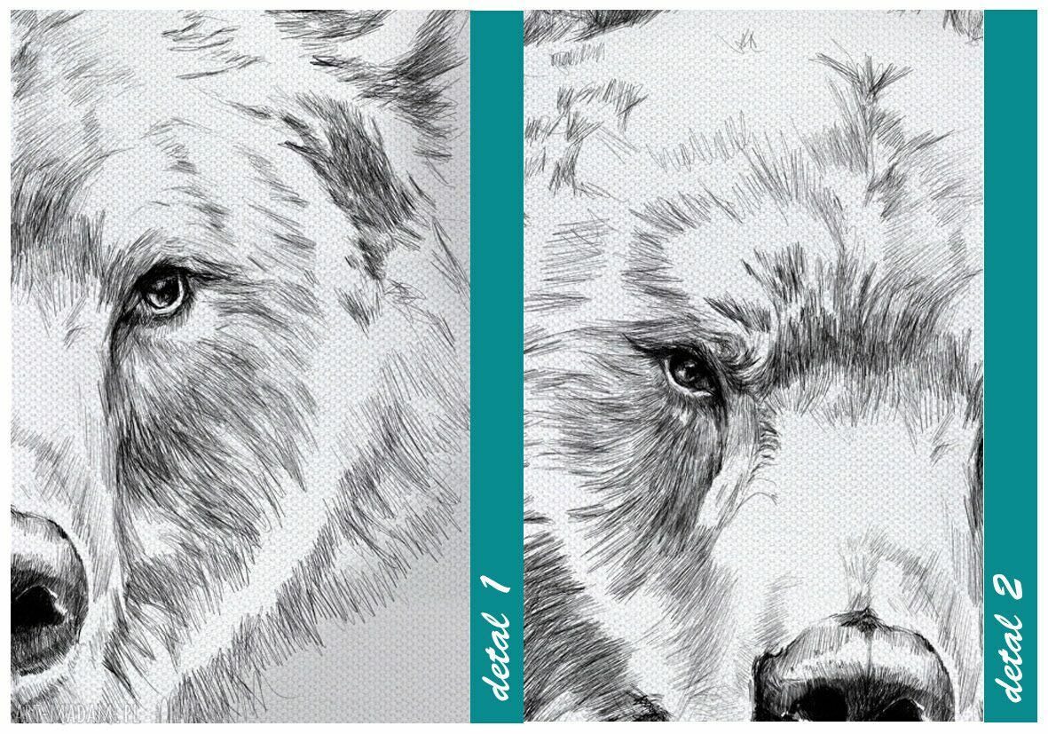 Obraz na płótnie Niedźwiedź 80x80cm - nowoczesna grafika do wnętrza