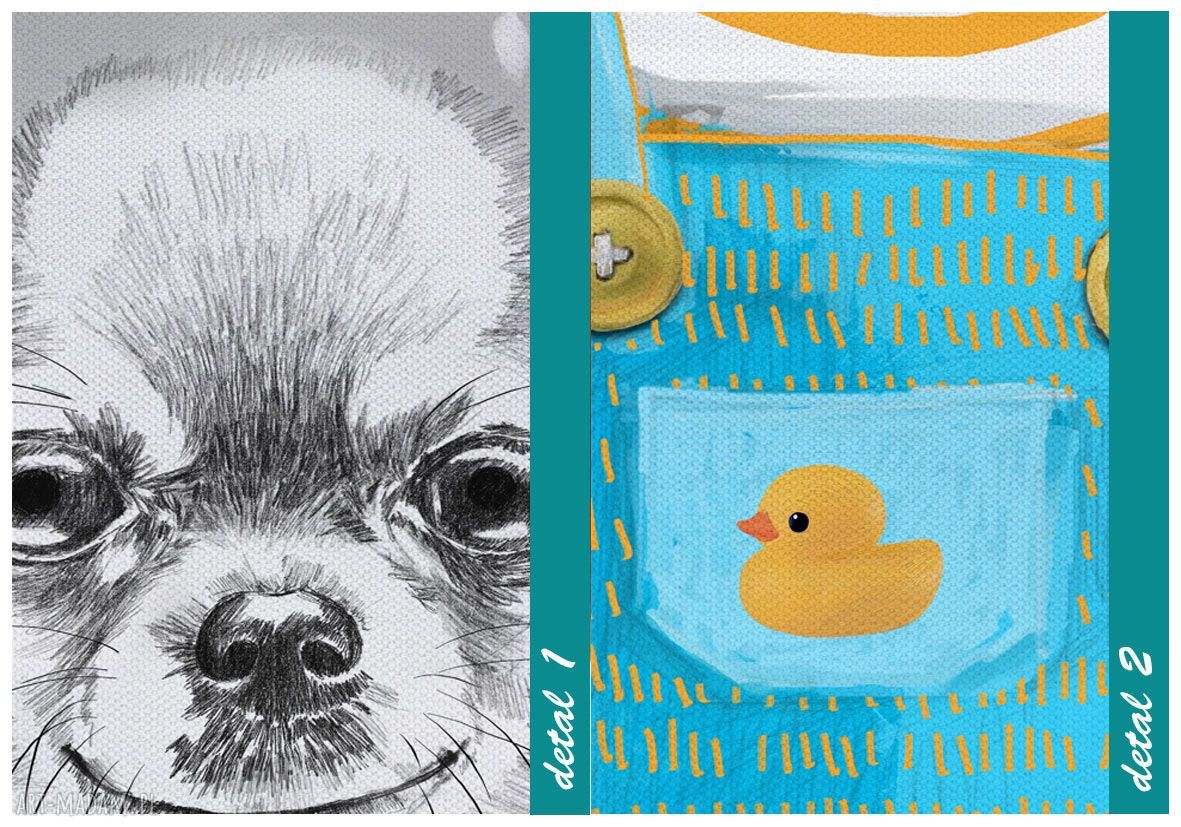 Obraz na płótnie 60x80 cm Pies Chihuahua - wysyłka w 24h 02176