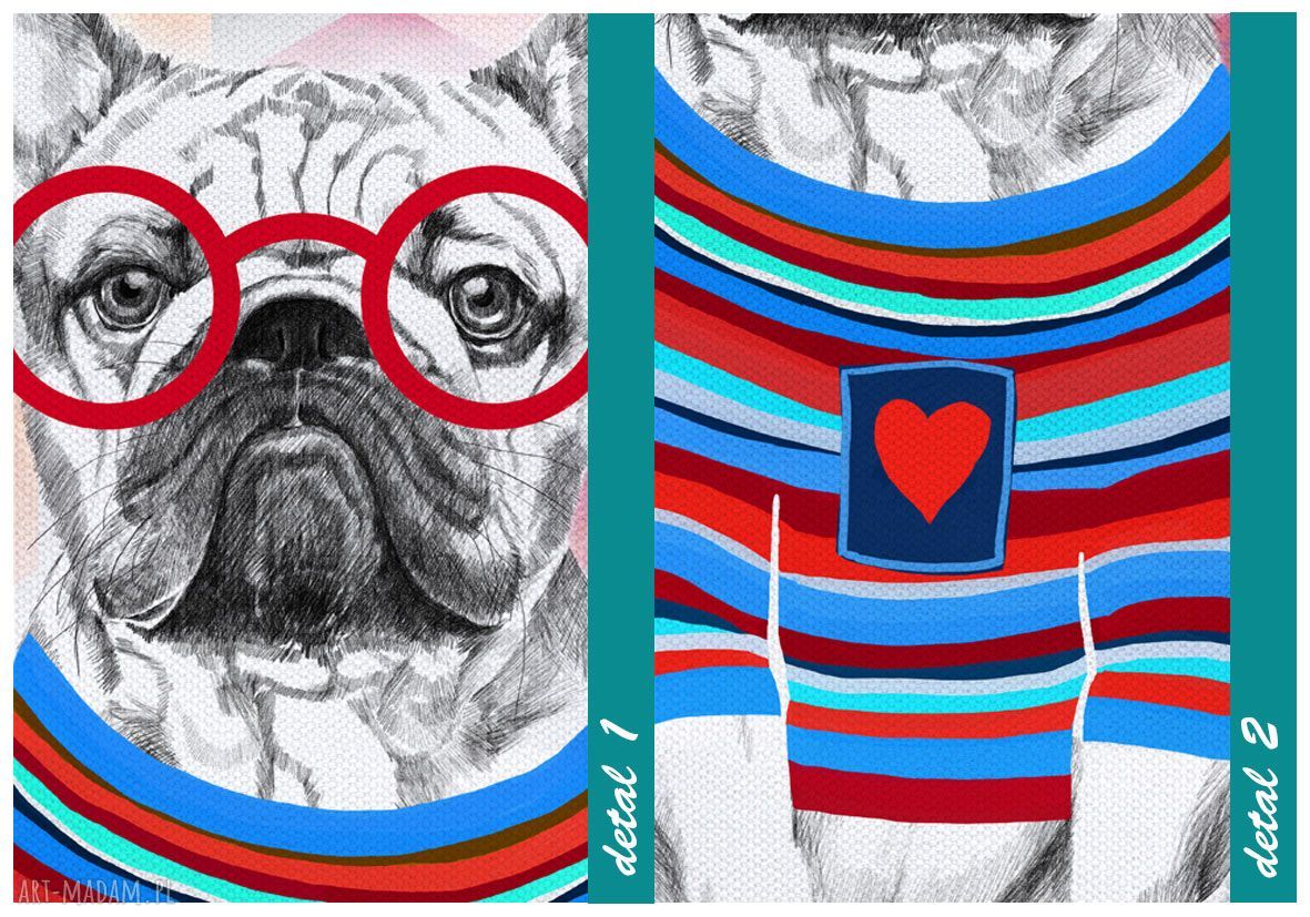 Obraz na płótnie 50x70 Buldog Francuski - wysyłka w 24h, hipster okulary