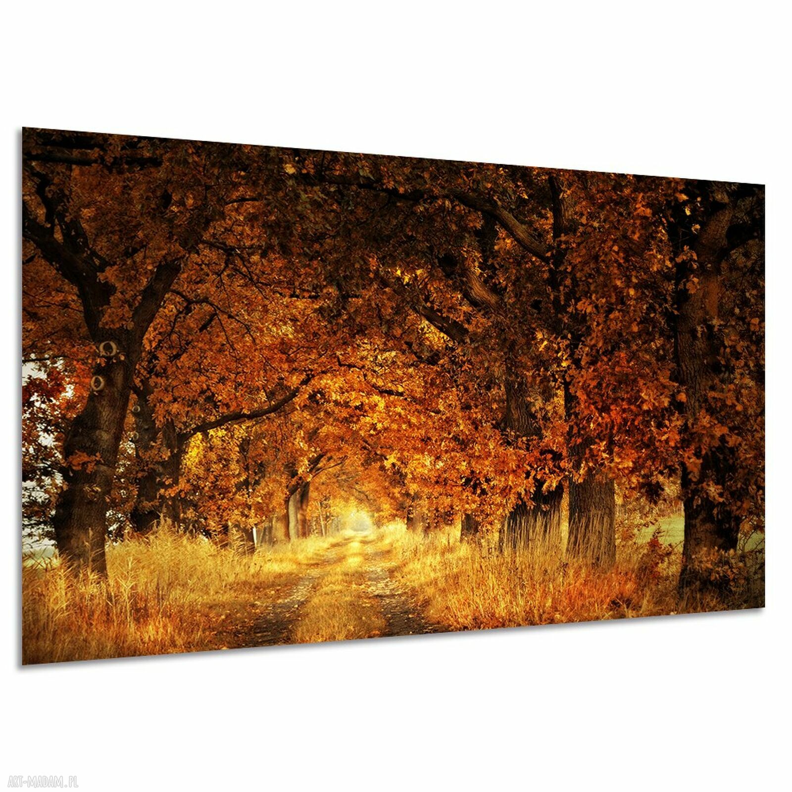 Jesienna aleja - obraz na płótnie 120x80 cm