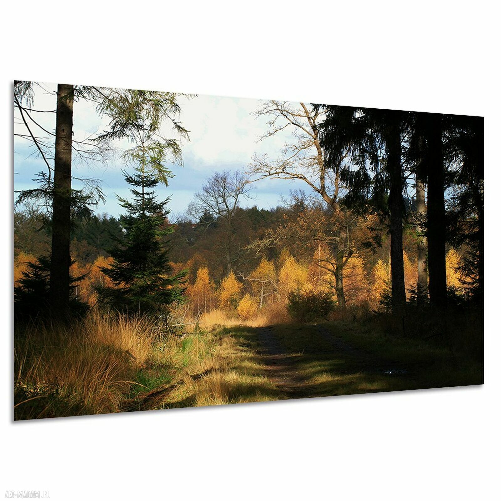 Obraz na płótnie Jesienny las ze ścieżką 120x80 cm