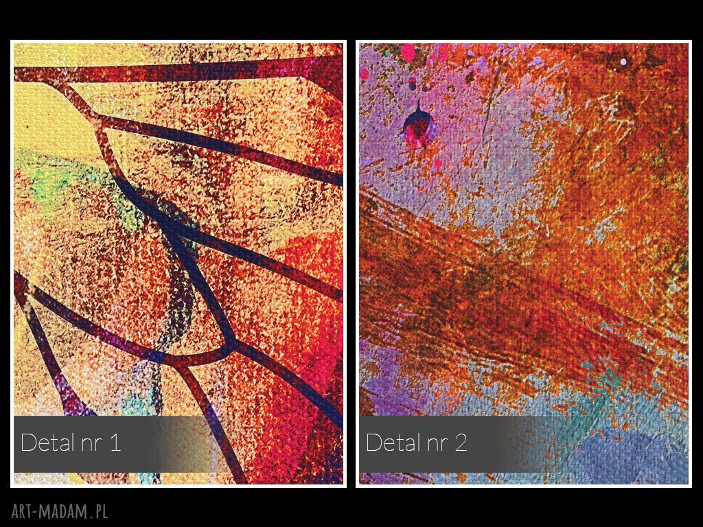 Obraz na płótnie Motyl Skrzydła Kolorowy 80x80 cm