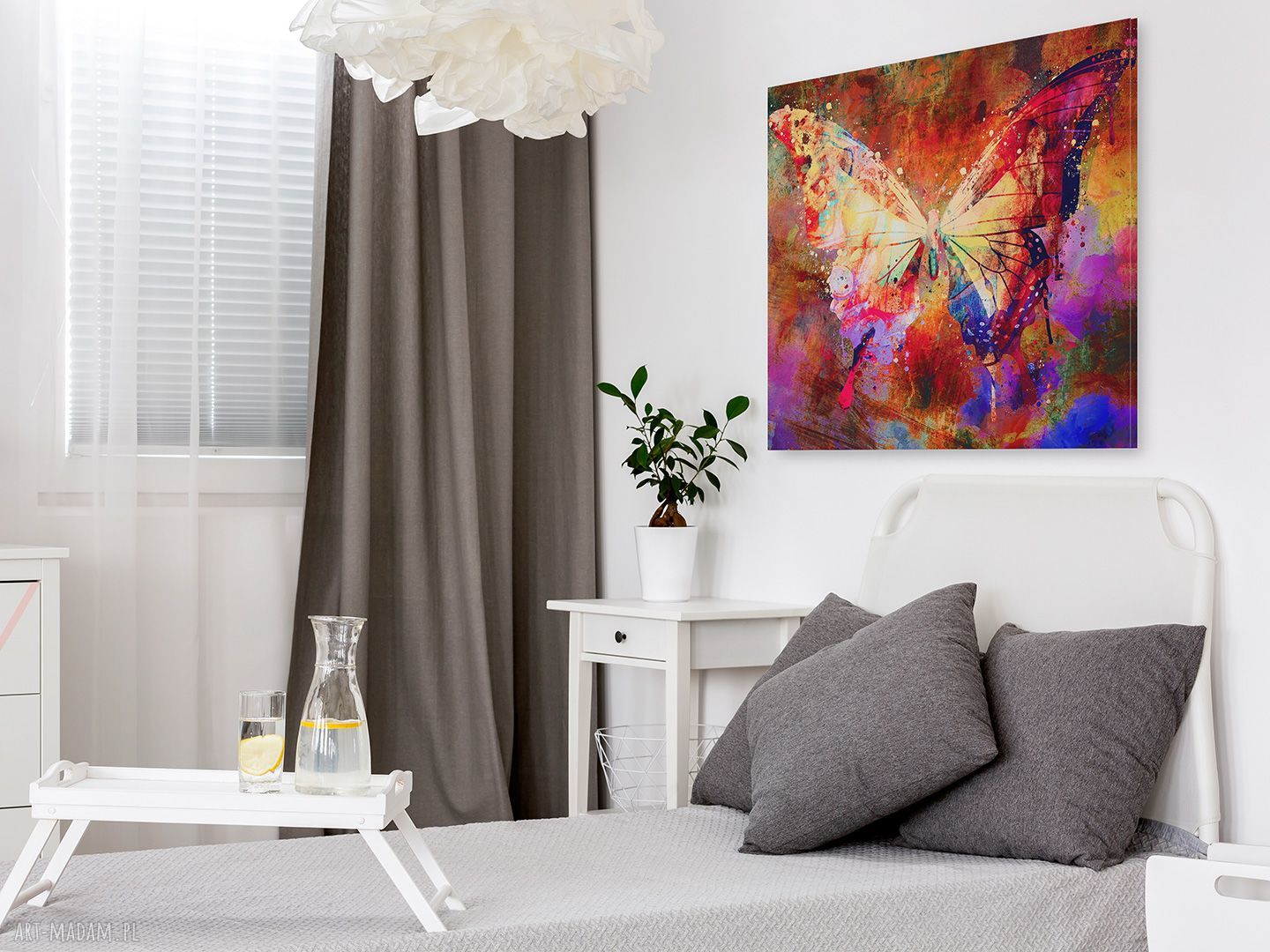 Obraz na płótnie Motyl Skrzydła Kolorowy 80x80 cm