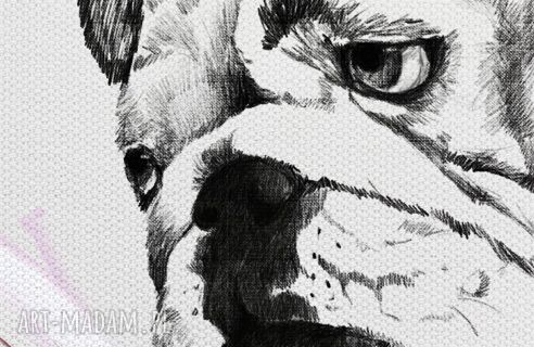 Buldogi Love - obraz na płótnie 120x80 cm, wysyłka w 24h