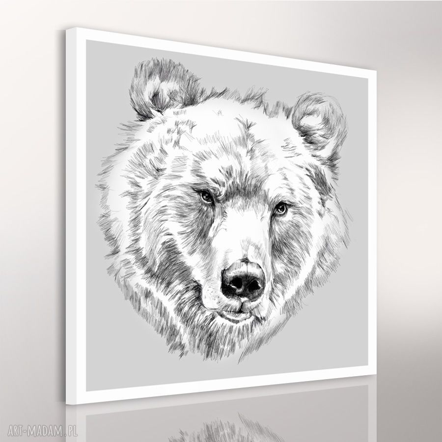 Obraz na płótnie Niedźwiedź 80x80cm - nowoczesna grafika do wnętrza