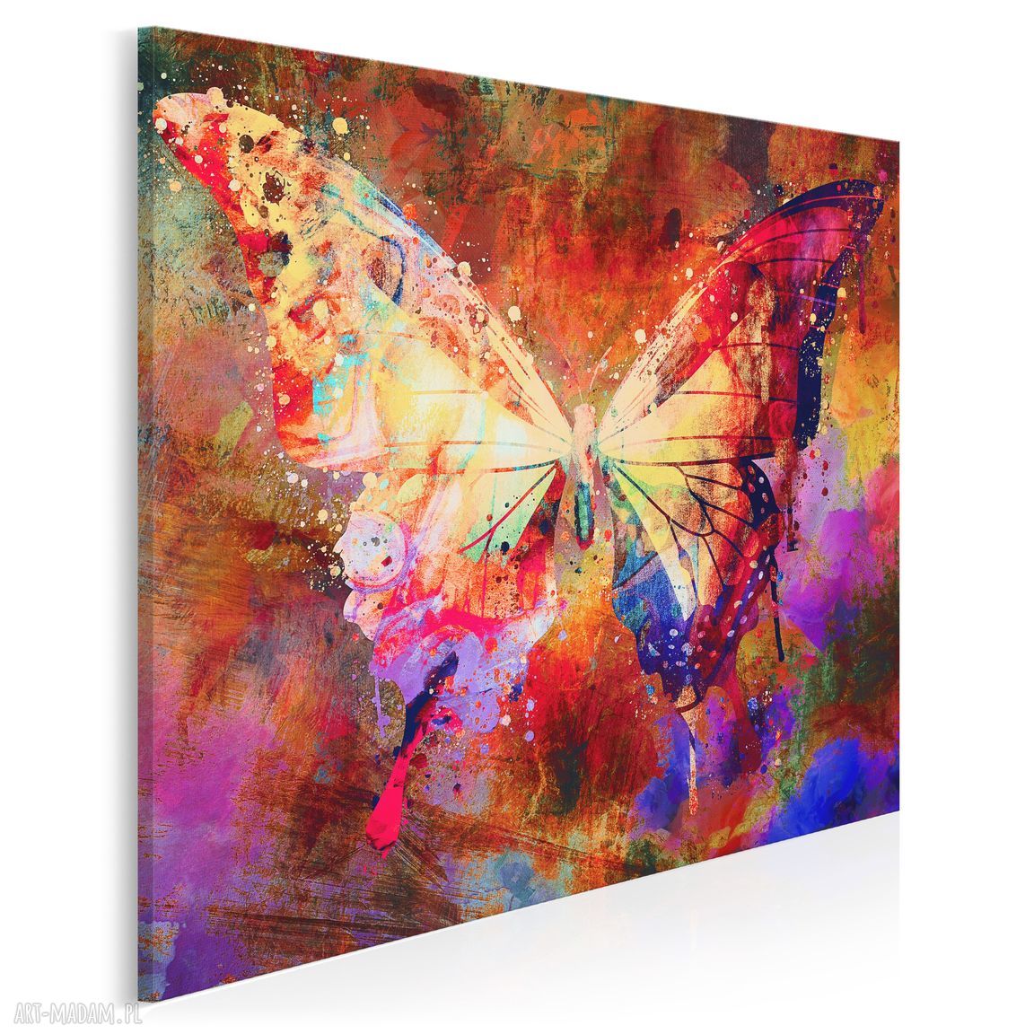 Obraz na płótnie Motyl Skrzydła Kolorowy 80x80 cm