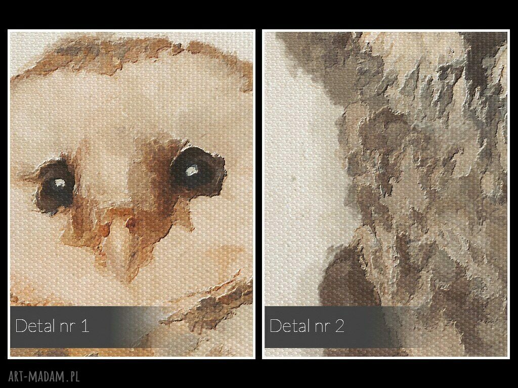 Obraz na płótnie Tryptyk Sowy i Ptaki 3x50x70 cm - autorski projekt