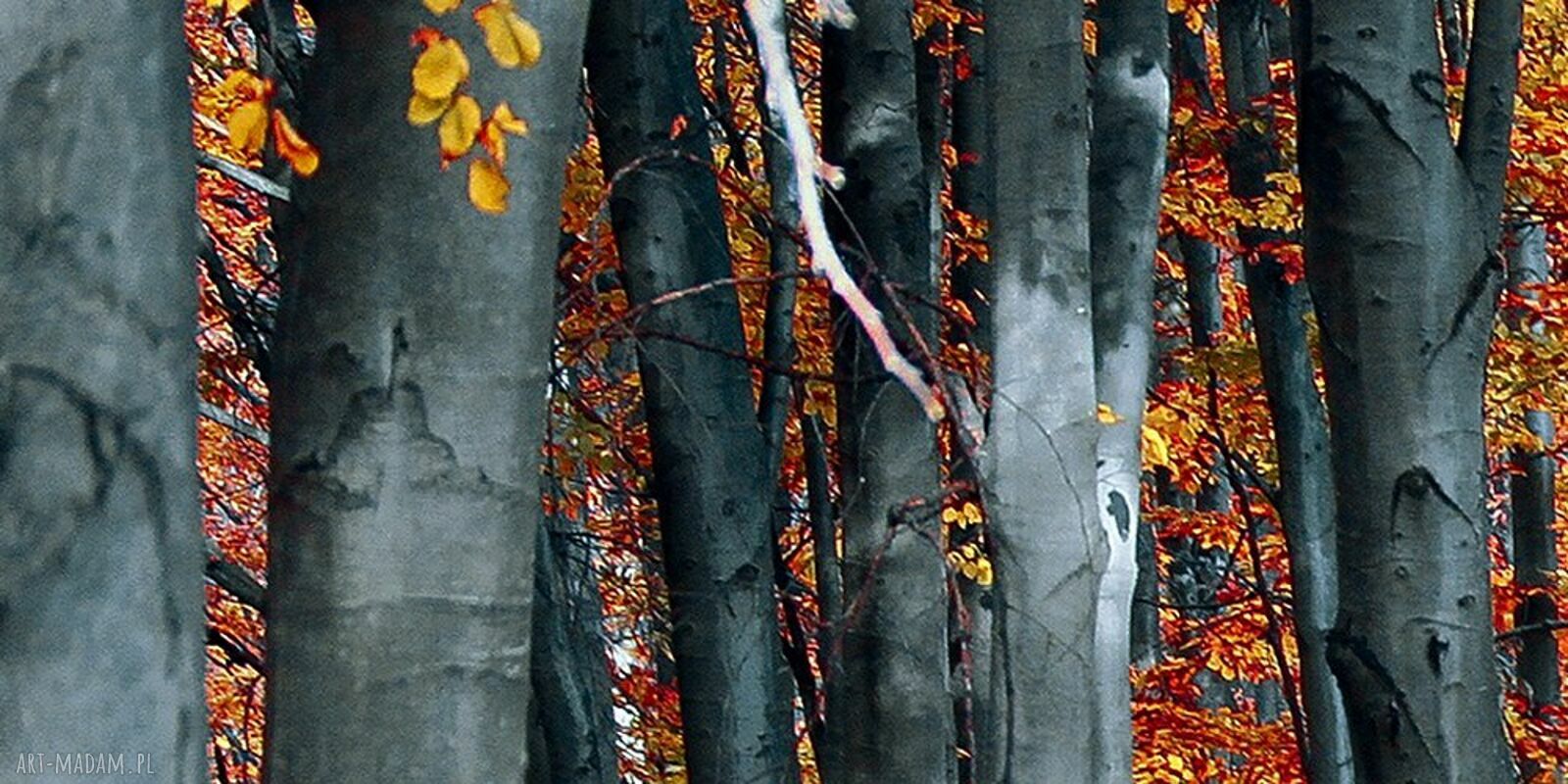 Czerwony jesienny las - obraz na płótnie 120x80 cm