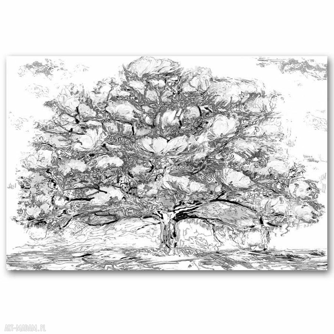 Czarno-biały obraz drzewo magnolii 120x80 cm - minimalistyczny na płótnie