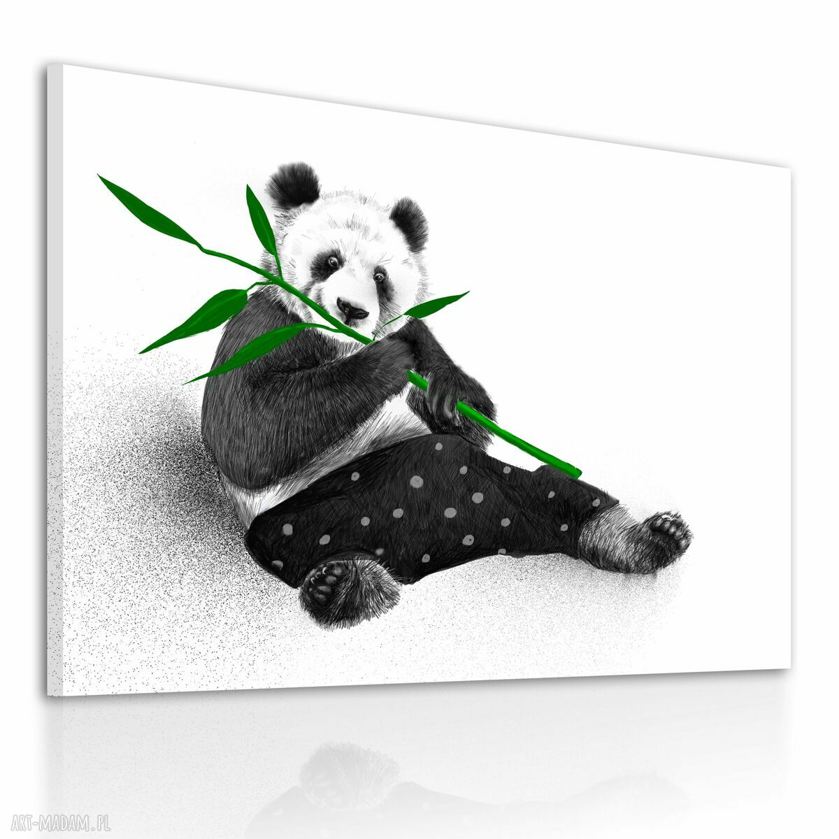 Obraz na płótnie 100x80 cm Panda - wysyłka w 24h