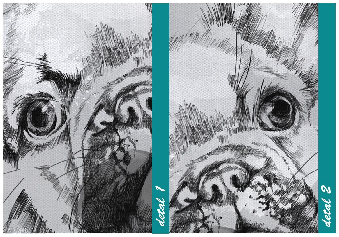 Kolorowy obraz na płótnie z Małym Buldożkiem Francuskim 80x100 cm