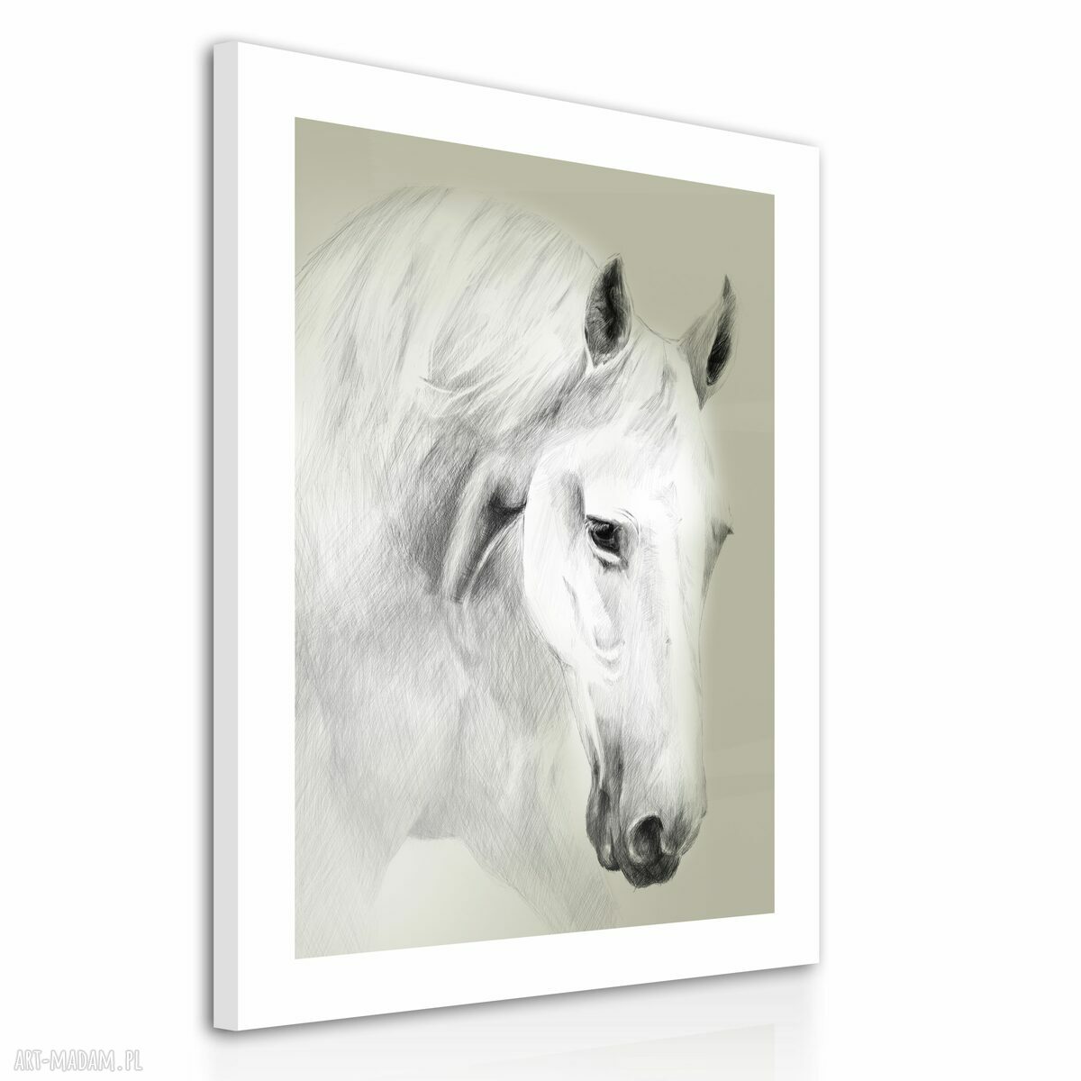 Obraz na płótnie 60x80 cm KOŃ 0239 - gotowy do zawieszenia, wysyłka w 24h