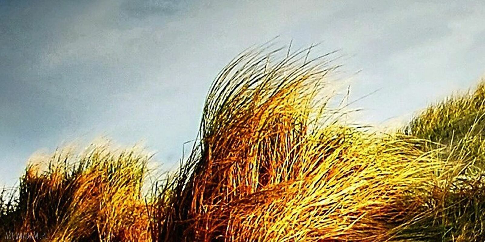 Obraz na płótnie Wydmy, morze i trawy 120x80 cm