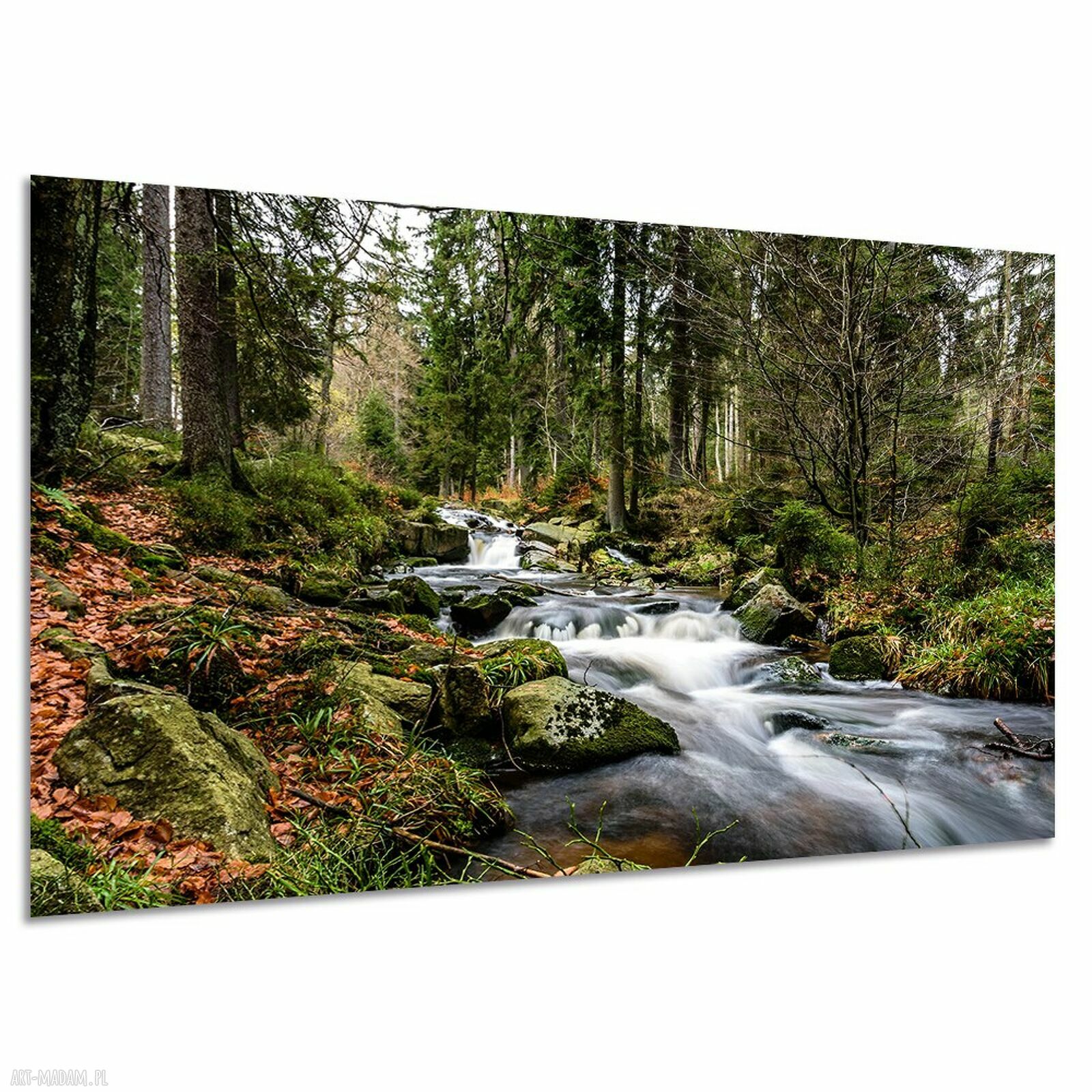 Obraz na płótnie Potok w lesie - pejzaż Karkonoszy 120x80 cm