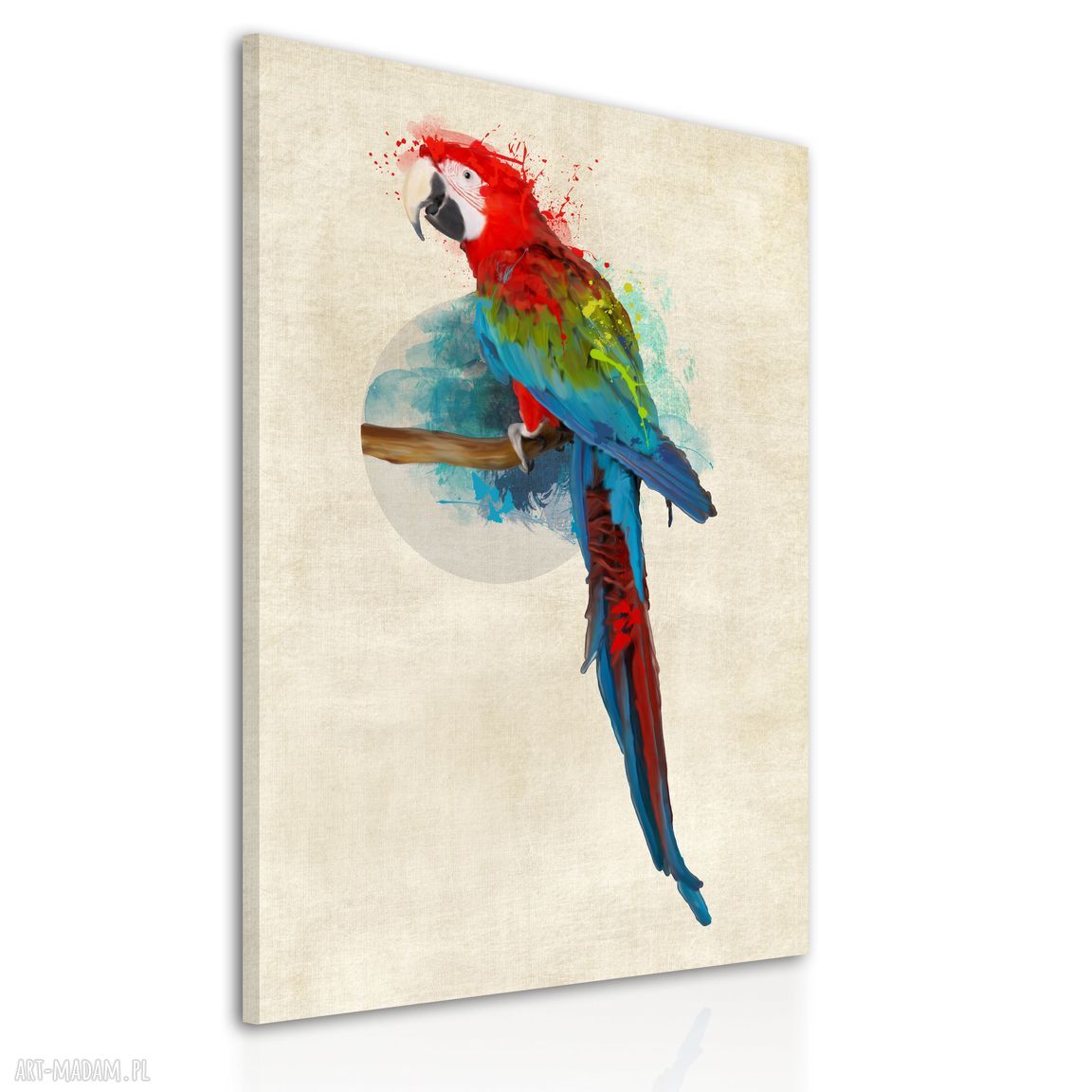 Kolorowa papuga - obraz na płótnie 70x100 cm, gotowy do zawieszenia