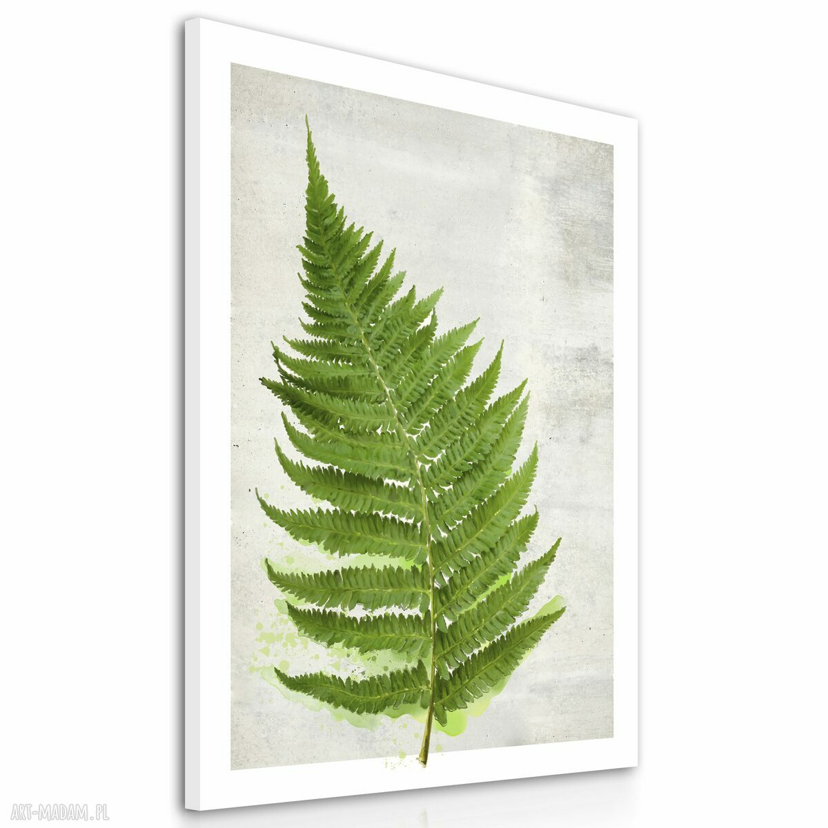Obraz na płótnie 70x100 cm Paproć 02168 - wysyłka w 24 h